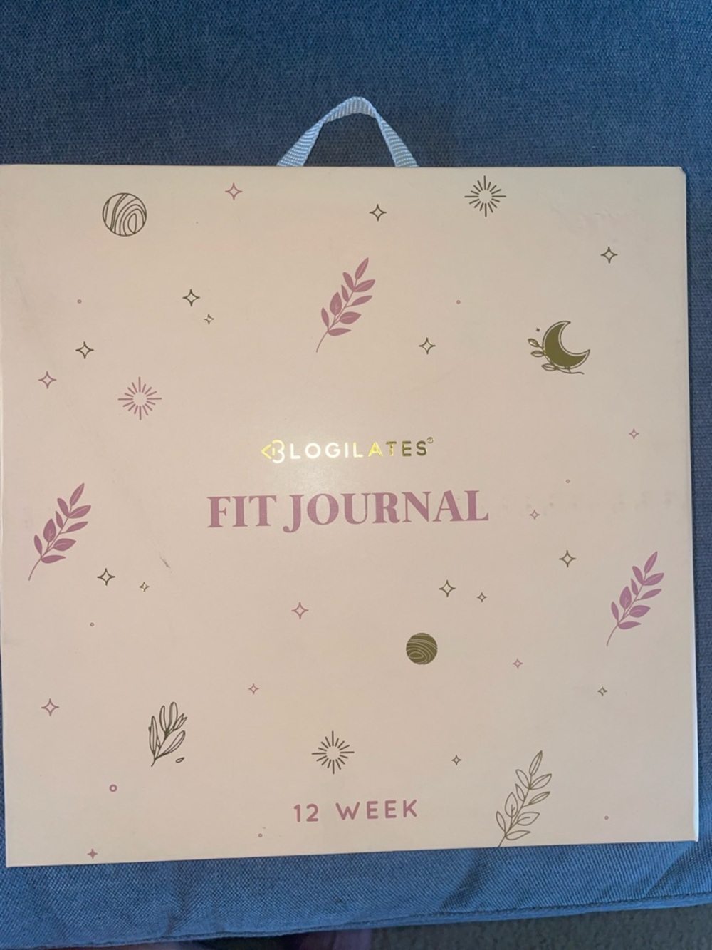 Blogilates Fit Journal - Pink & Gold Cover
